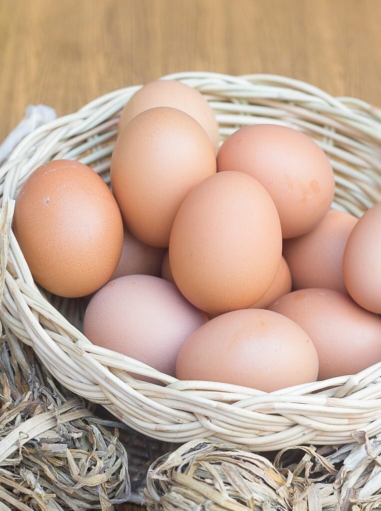 eggs, chicken eggs, fresh eggs, organic eggs