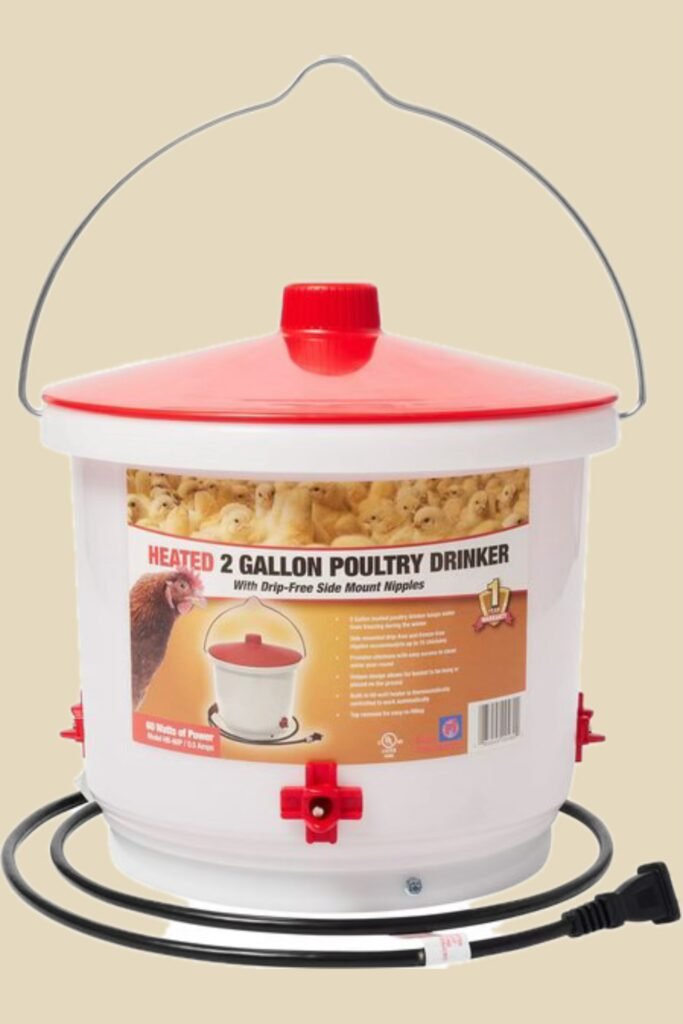 photo-output - Chickie-ChickieBees.com