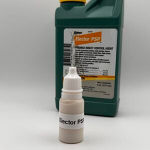 IMG_8401 - Chickie-ChickieBees.com