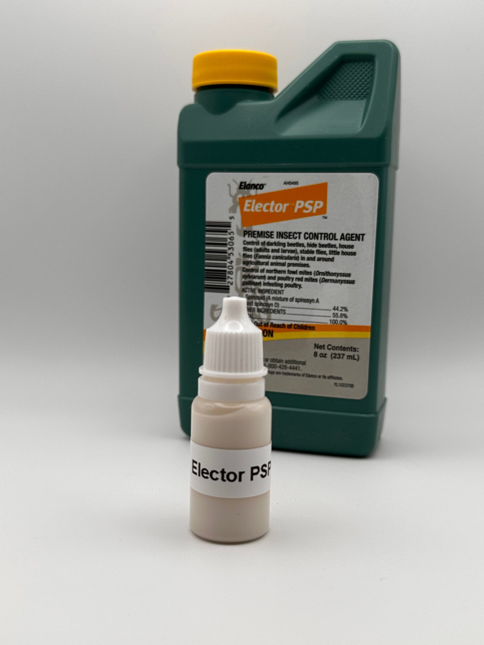 IMG_8401 - Chickie-ChickieBees.com