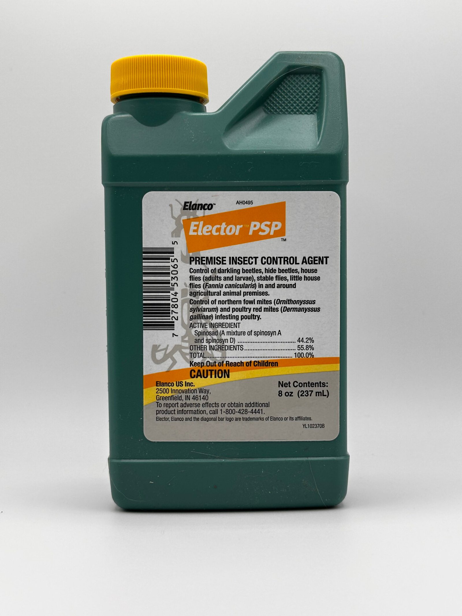 IMG_8409 - Chickie-ChickieBees.com