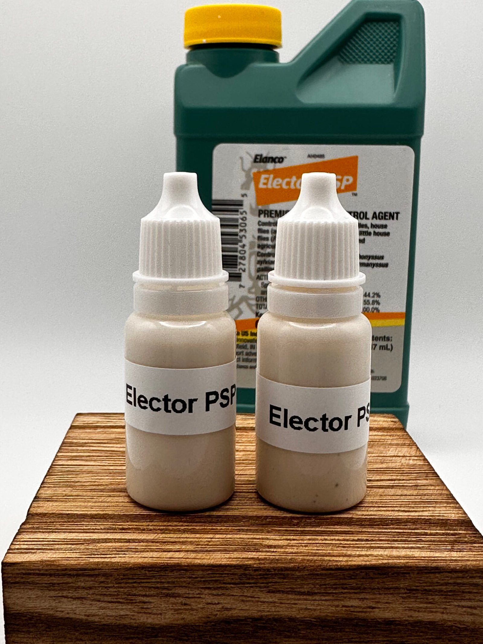 IMG_8766 - Chickie-ChickieBees.com