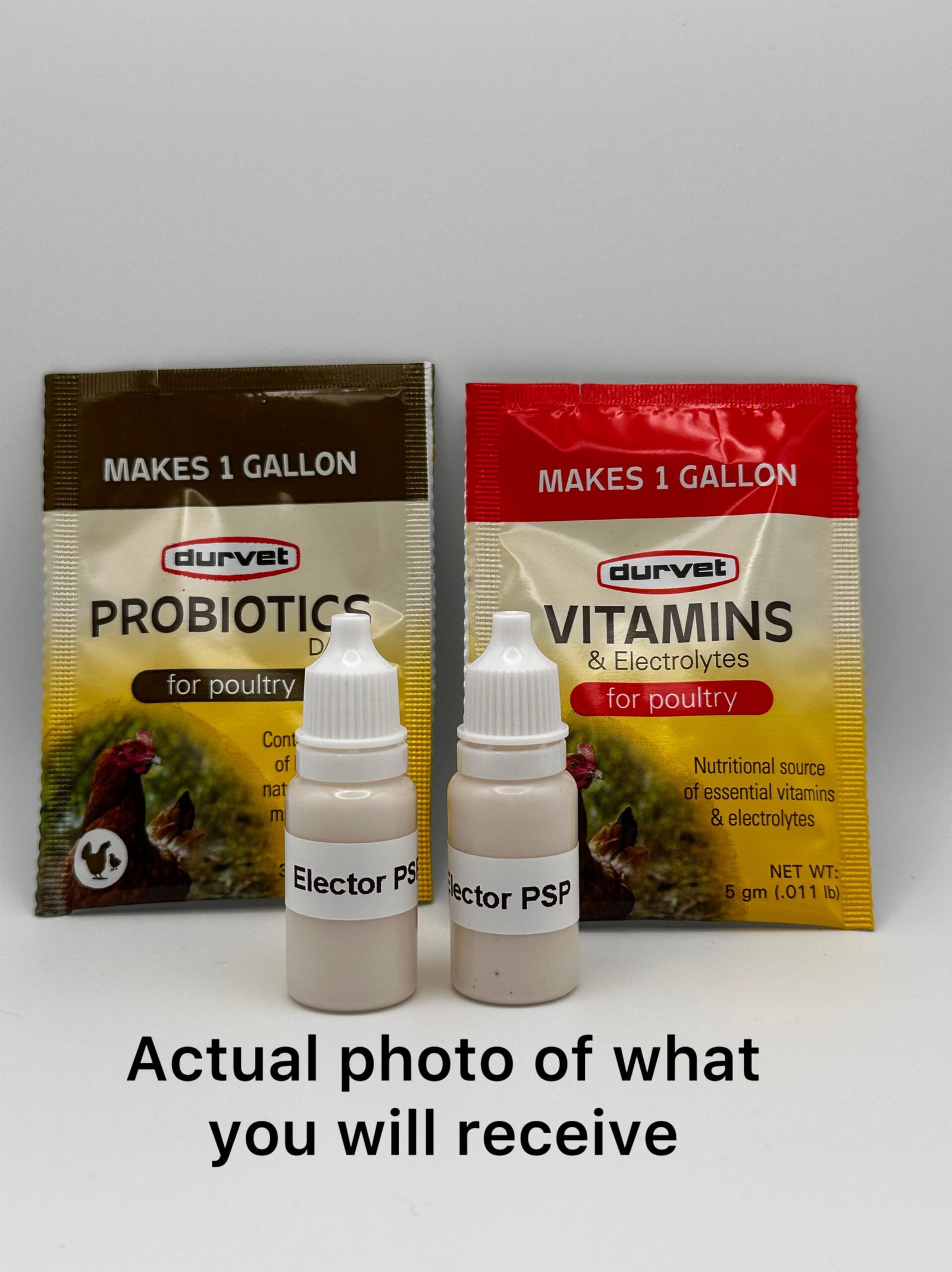 photo-output 9 - Chickie-ChickieBees.com